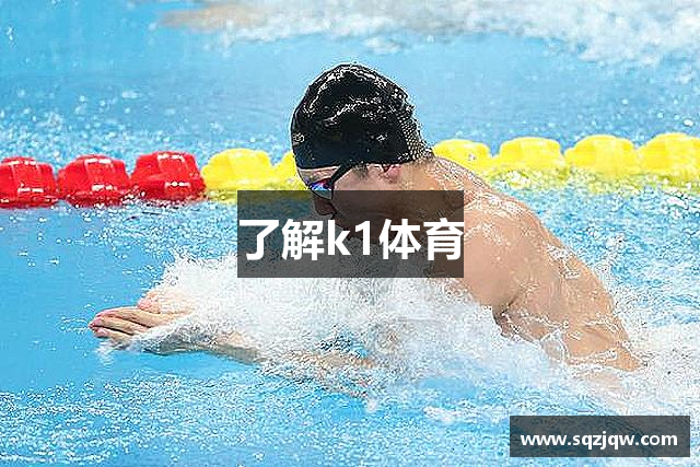 了解k1体育